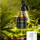 Car Model Car Diffuser