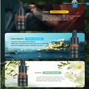 Car Model Car Diffuser