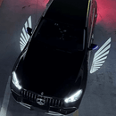 Angel Wings Puddle Lights Exclusive for Mercedes