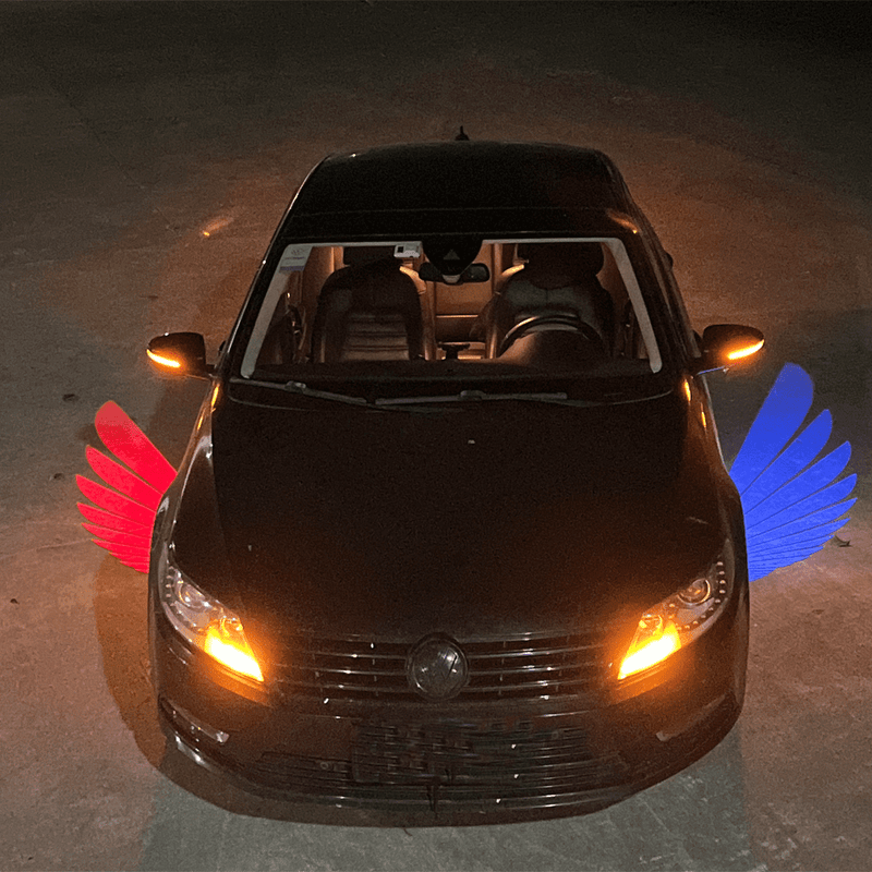 Angel Wings Puddle Lights Universal